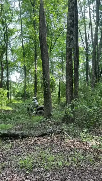 Guided ATV tour through the forest at NJ ATV Rentals